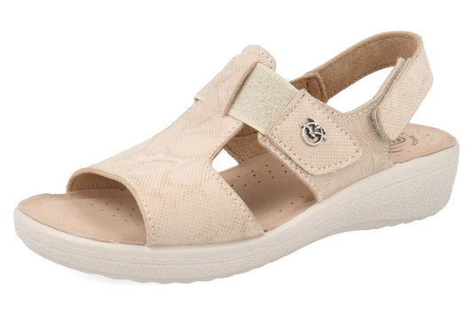 FL 55 166 QA6009 Beige