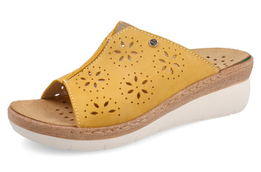 FL 43 K53 QV3023 Giallo