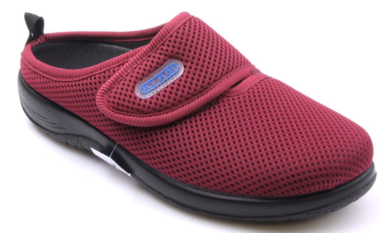 FL P5 D12 FR2014 Bordo