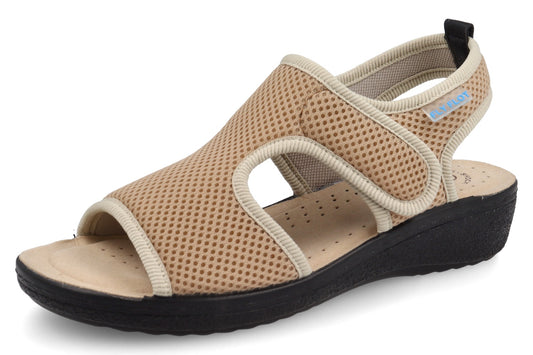 FL 55 B85 FB 2009 Beige