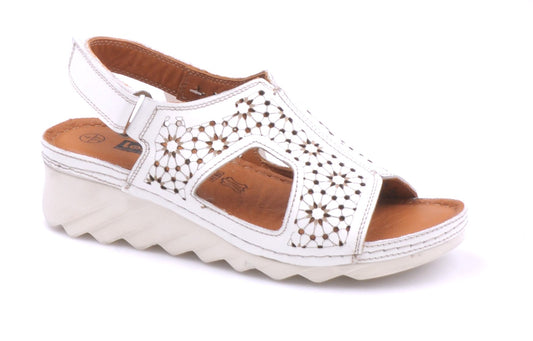 LO6968-445 white