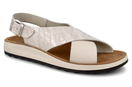 FL 77 G61 HC 6424 Avorio