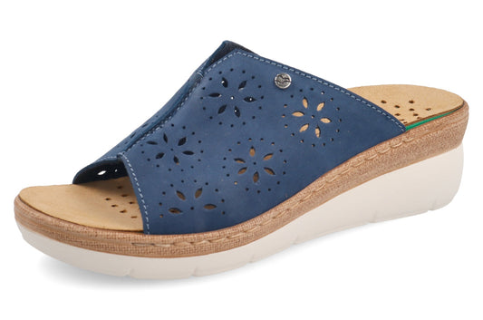 FL 43 K53 QV3001 Blu