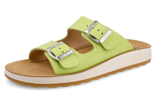 FL 77 G64 FC6338 Verdino