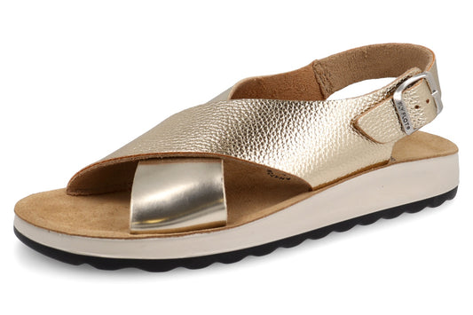 FL 77 G61 ZC 6430 Oro