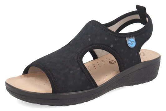 FL 55 B84 5E2003 Black